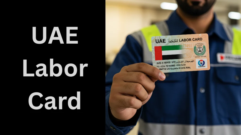 UAE Labor Card 12 UAE Labor Card 1